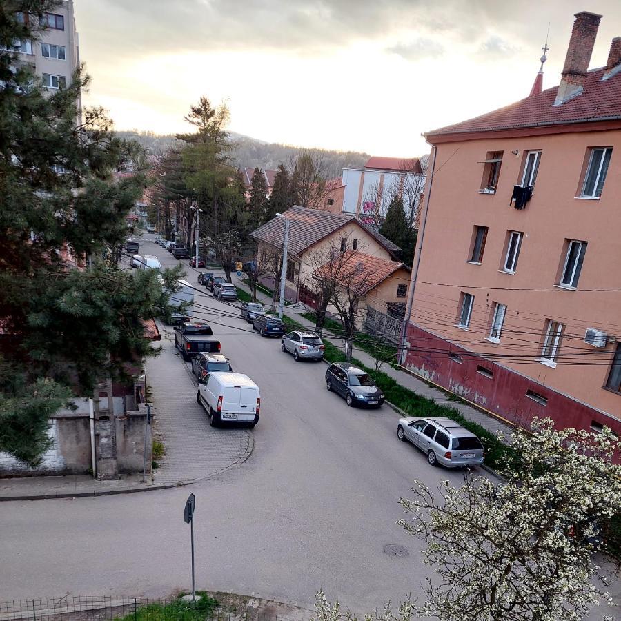 Fely Room Petroşani Eksteriør bilde
