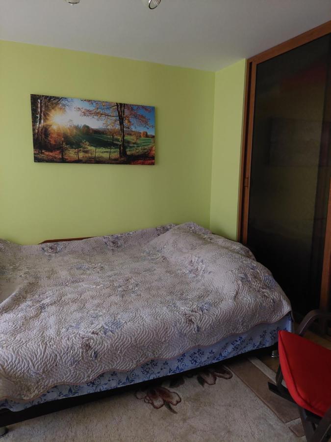 Fely Room Petroşani Eksteriør bilde